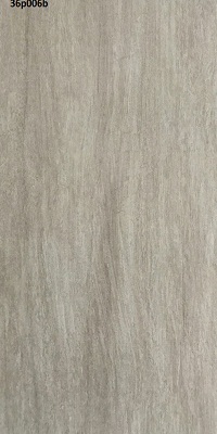36P006B