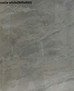 BRESSCIA WHILE 800X800