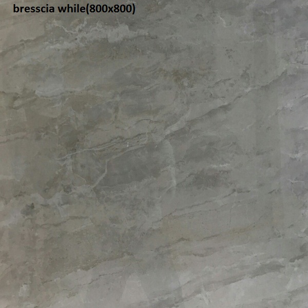 BRESSCIA WHILE 800X800