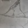 MABLE WHILE 800X800