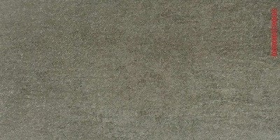 SR306C