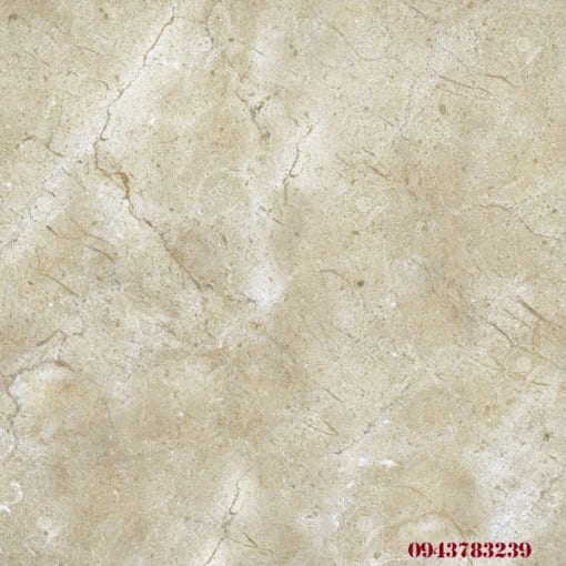 SP MỚI