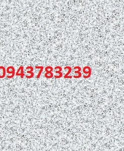 TASA-6003
