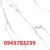 TASA-6012