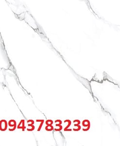 TASA-6012