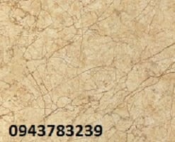 ViglaceraKQ3602