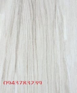 LC6010