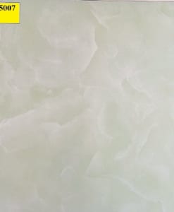GR 5007