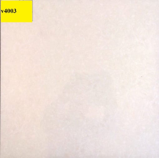 V4003