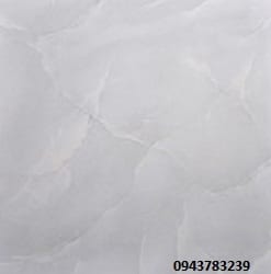 grprm15205