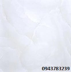 grprm15206