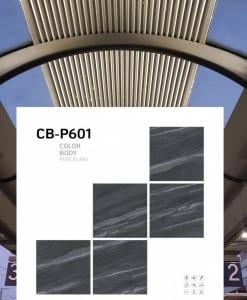 P601