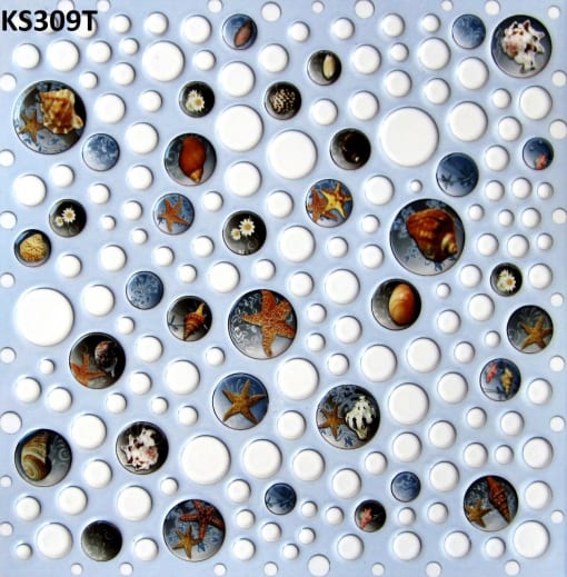 KS309