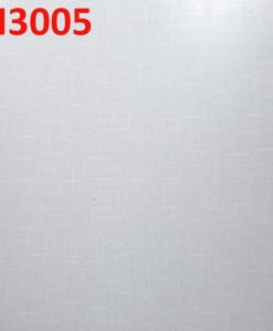 N3005