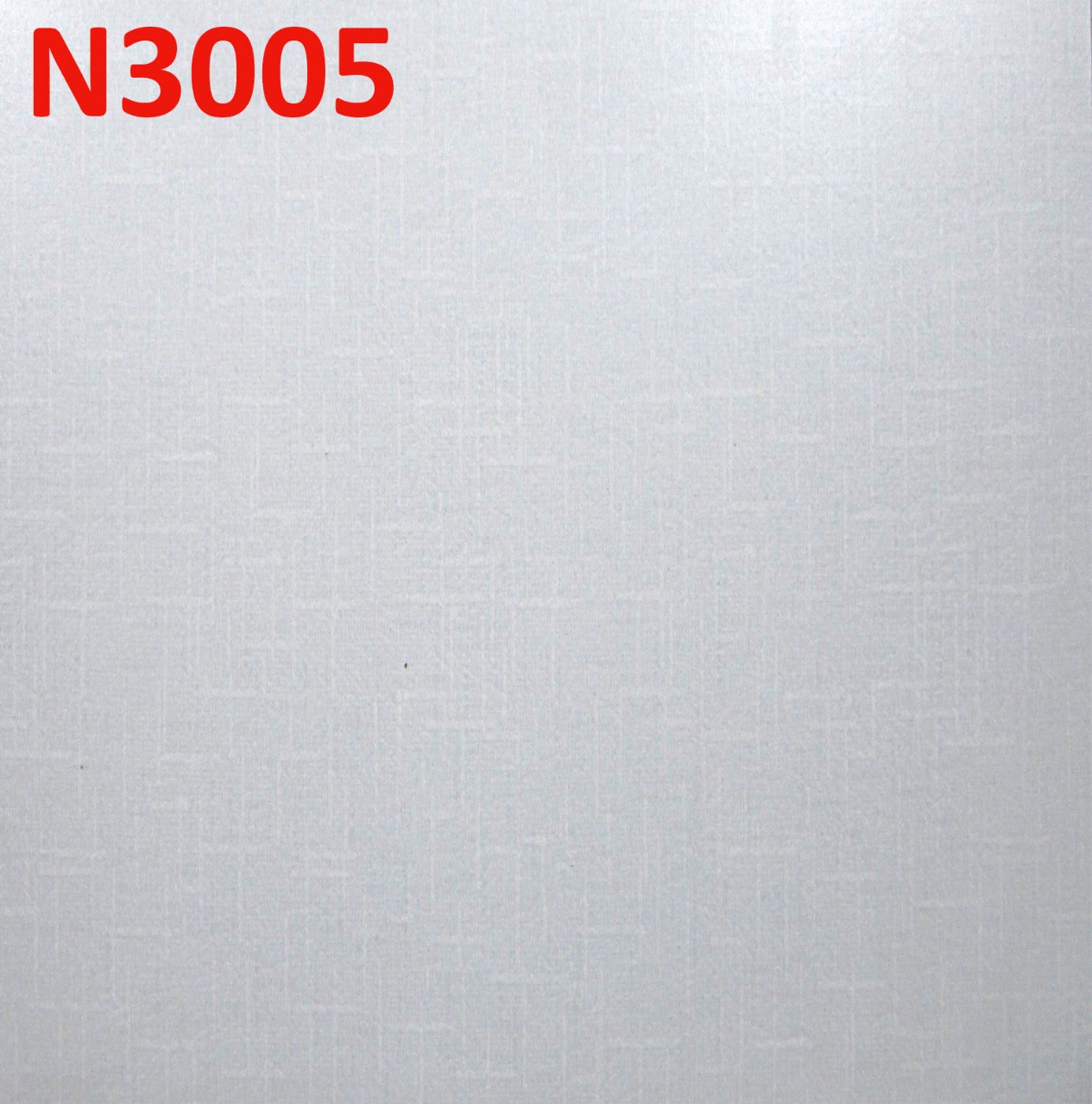 N3005 N3005