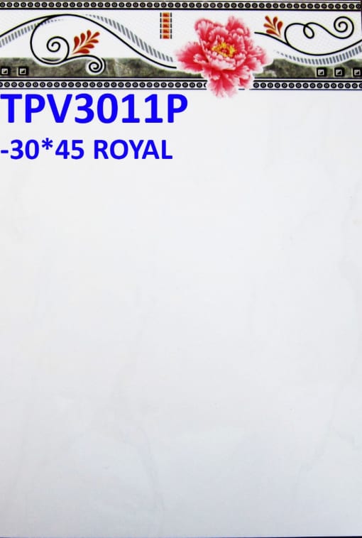 TPV3011P