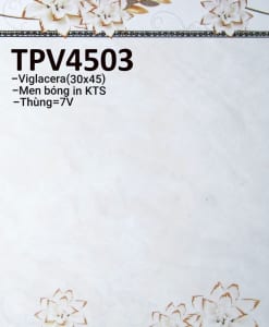 TPV4503