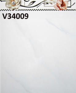 V34009