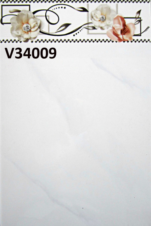 V34009 V34009