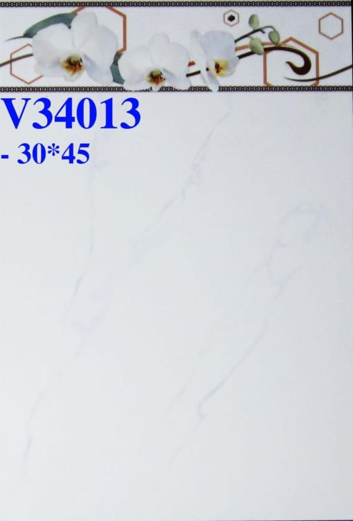V34013