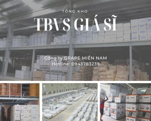 TỔNG KHO TBVSI VĨNH LONG